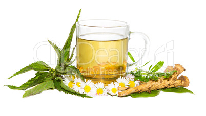 Fresch herbal infusion for detoxifying cure