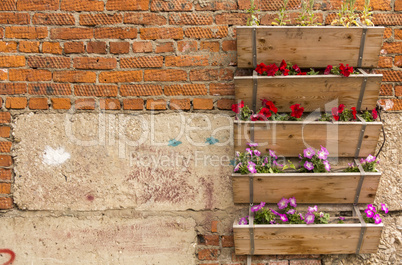 Boxes with garden flowers on a brick wall