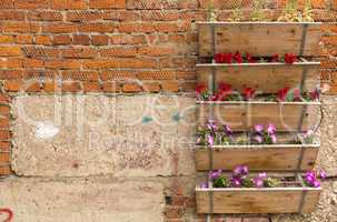 Boxes with garden flowers on a brick wall