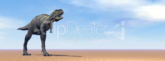 Aucasaurus dinosaur in the desert - 3D render