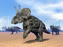 Dinoceratops dinosaur in the desert - 3D render