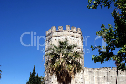 Outer wall of the Real  Alcazar of Jerez