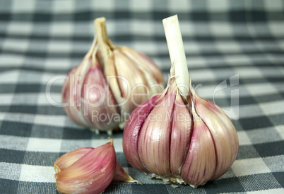 Raw garlic heads