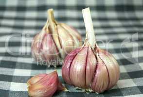 Raw garlic heads