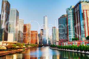 chicago downtown with trump international hotel and tower in chi