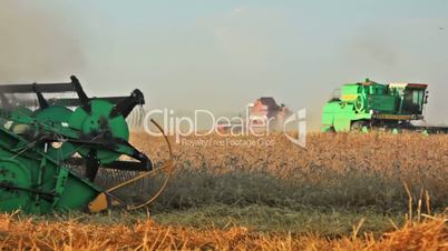 Four harvesters