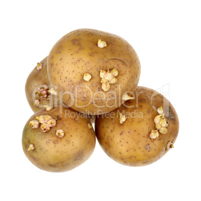 potatoes with sprouts