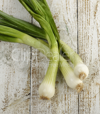 Green Onion