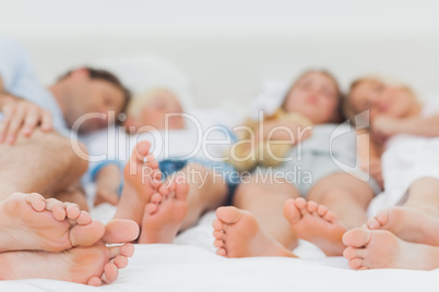 Close up of the feet of a family