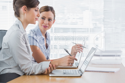 Young businesswomen working together on their laptops