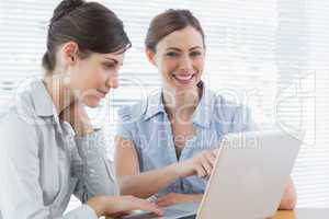 Two smiling  businesswomen working on laptop together