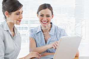 Two happy businesswomen working on laptop together