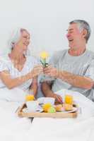 Mature man giving wife a yellow rose