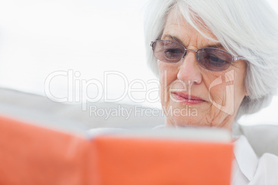 Portrait of a woman reading a book