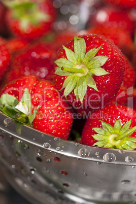 Nahaufnahme Frische Erdbeeren in einem Edelstahl Seiher