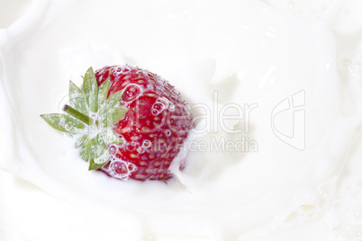 Erdbeere fällt in Milch