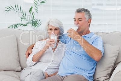Couple drinking glasses of milk sitting on the couch