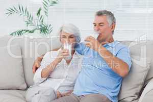 Couple drinking glasses of milk sitting on the couch