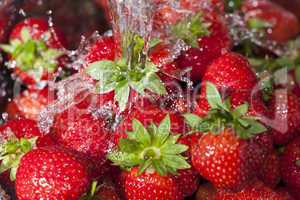 Reife rote Erdbeeren unter Wasserstrahl