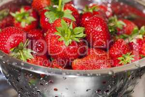 Frische Erdbeeren in einem Edelstahl Seiher