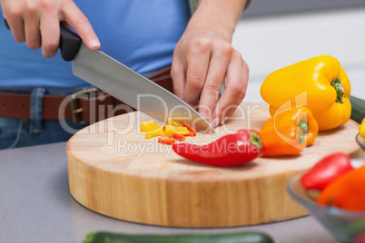 Close up of hands cutting vegetables