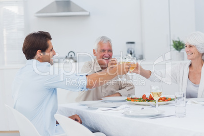 Family clinking their glasses of white wine