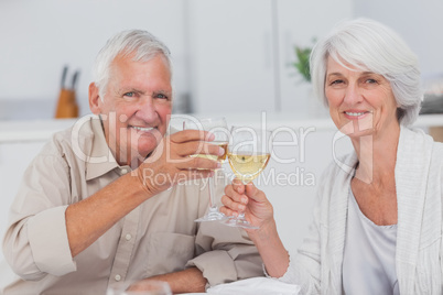 Elderly couple toasting with white wine