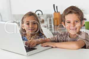 Cheerful siblings using a laptop together