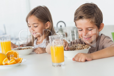 Cheerful siblings eating cereal together
