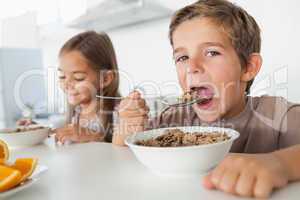 Boy eating cereal while having breakfast