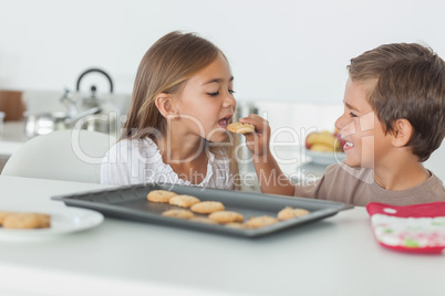 Brother giving a cookie to his sister