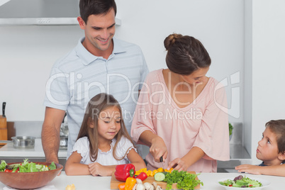 Children looking at their mother preparing vegetables