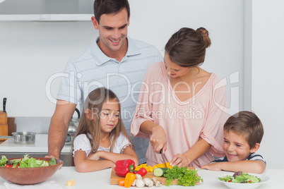 Children looking at their mother who is preparing vegetables