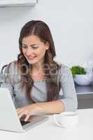 Woman using her laptop pc in the kitchen