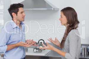 Couple quarreling in the kitchen