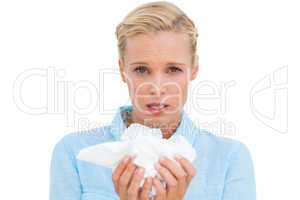 Blonde woman sneezing holding lots of tissues