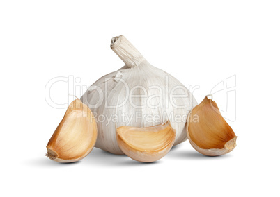 Garlic