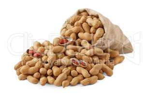 Peanut bag isolated on the white