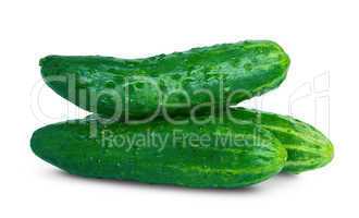 Green cucumber