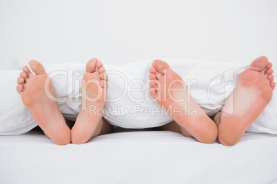 Feet of a couple in bed