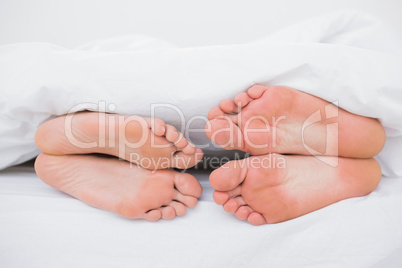 Feet of a couple face to face in bed