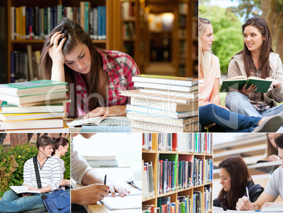 Collage of students studying