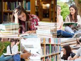Collage of students studying