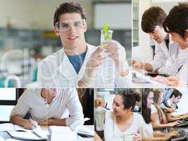 Collage of students doing chemistry