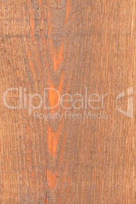 Cedar Wood texture close-up background