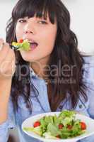 Pretty brunette eating a salad for lunch