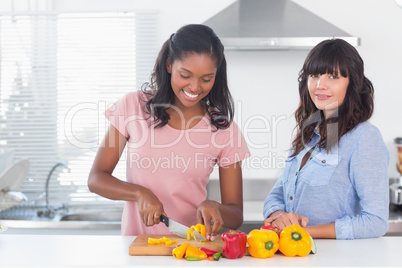 Happy friends preparing vegetables