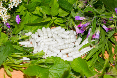 Border of fresh herbs with supplement capsules
