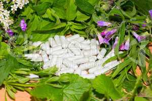 Border of fresh herbs with supplement capsules