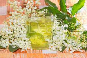 Herbal infusion of Elder or Sambucus blossoms